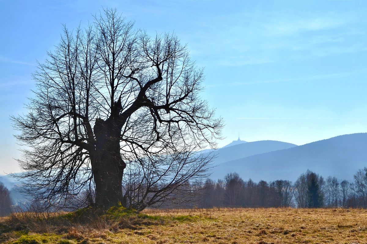 DSC_2722 Machnín.