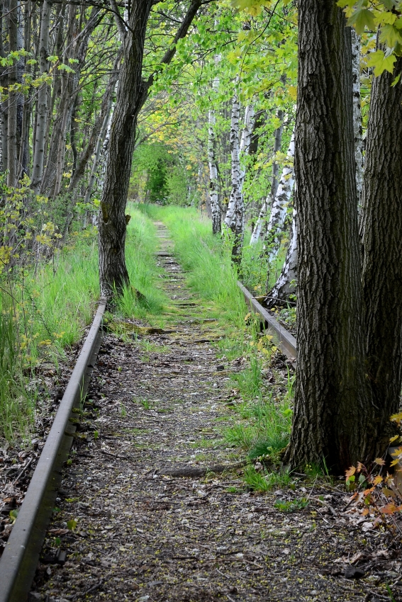 Jindřichovice pod Smrkem 10. 5. 2016