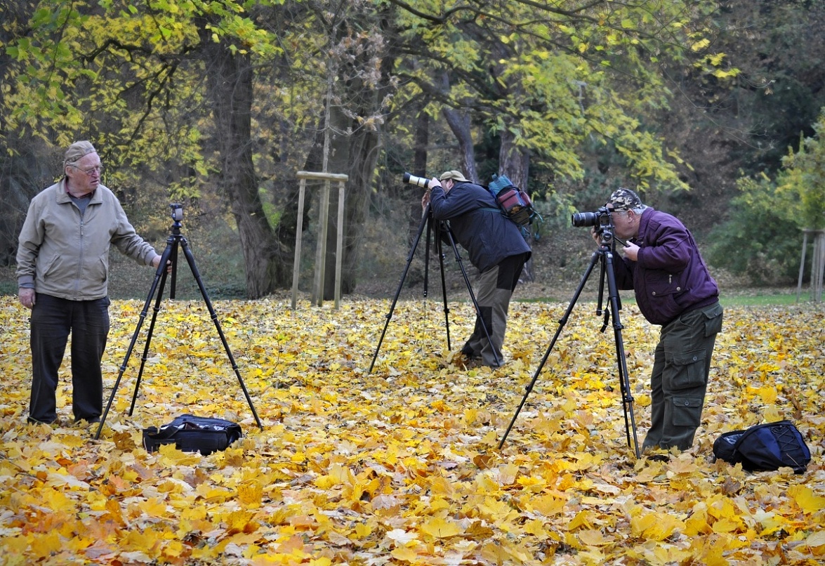 z Workšopu 23. 10. 2013