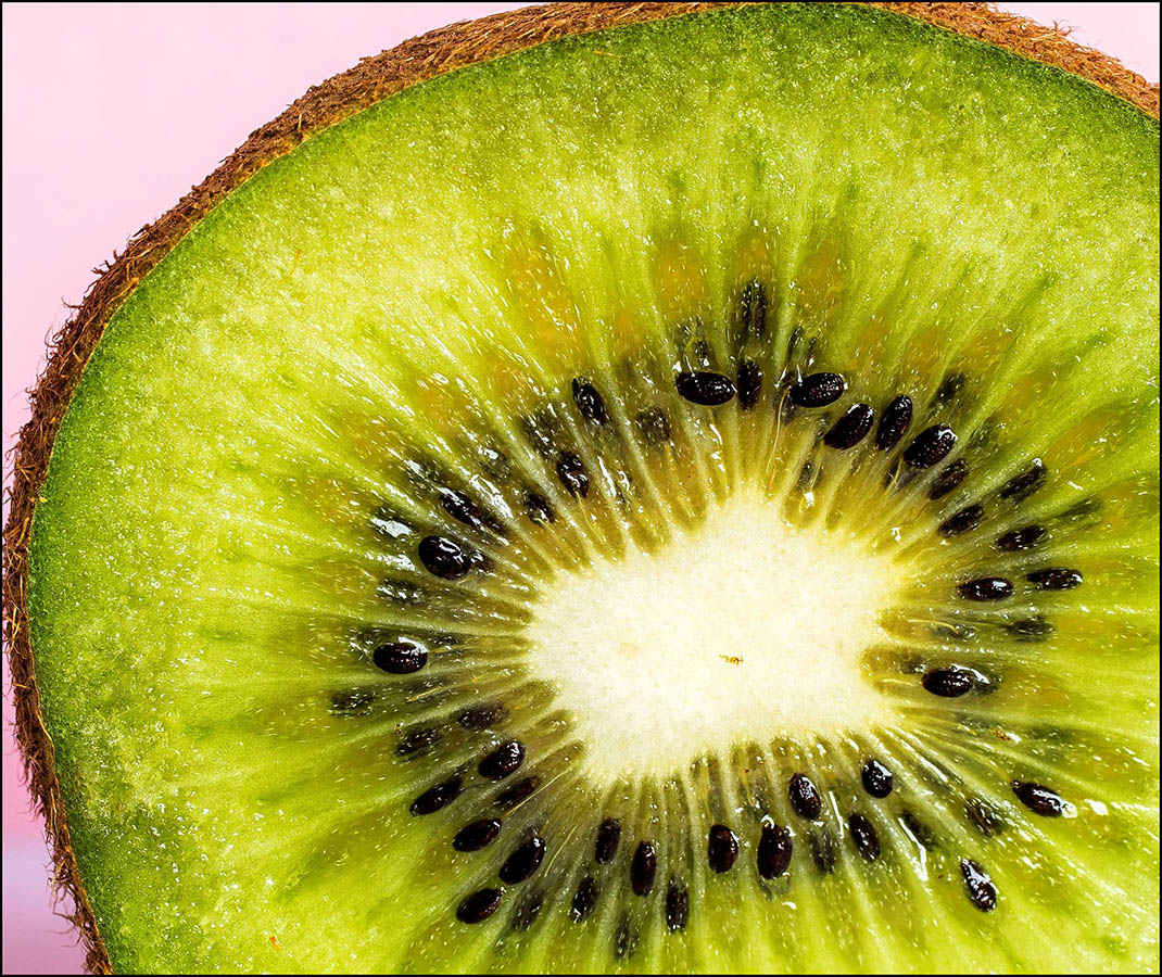 KIWI v řezu