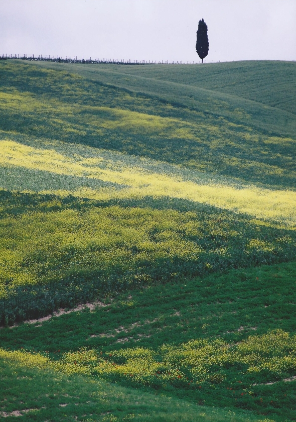 Samotář - Toskánsko 2006