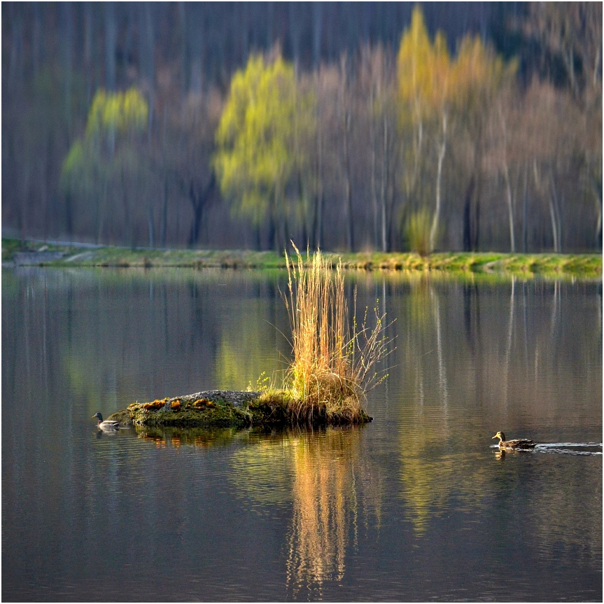 Na Šolcaku - Jizerské hory